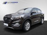Hyundai Tucson 1.6T 4WD DCT TREND SHZ LHZ Navi Kamera - Hyundai TUCSON: Automatik