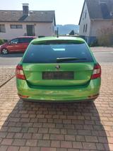 Skoda Rapid 1.0 TSI 81kW CLEVER Spaceback CLEVER - Skoda Rapid: Grün