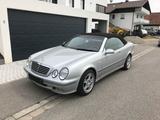 Mercedes-Benz Mercedes Benz CLK 230K Cabrio 1. Hand unfa... - Mercedes-Benz CLK 230: Merc