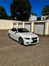 BMW 330i Cabrio - Shz- H&K- Leder - Tempomat  - BMW 330 in Bielefeld