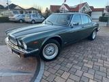Jaguar XJ XJ V12 5,3 H.E Double SIX 88tkm Org. mit Hist - Jaguar XJ: V12