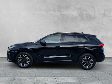 Cupra Terramar - 2