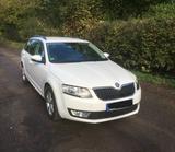 Skoda Oktavia IV TDI Kombi - guter Zustand - Skoda Oktavia mit Diesel-Antrieb