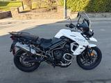 Triumph Tiger 800 XRX Low Chrytal White - TRIUMPH TIGER 800 XRX LOW