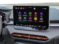 Cupra Terramar - Vorschau Bild 7