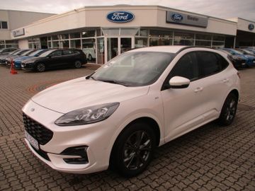 Ford Kuga ST-Line X   PDC+Assist + LED + Kamera  PA