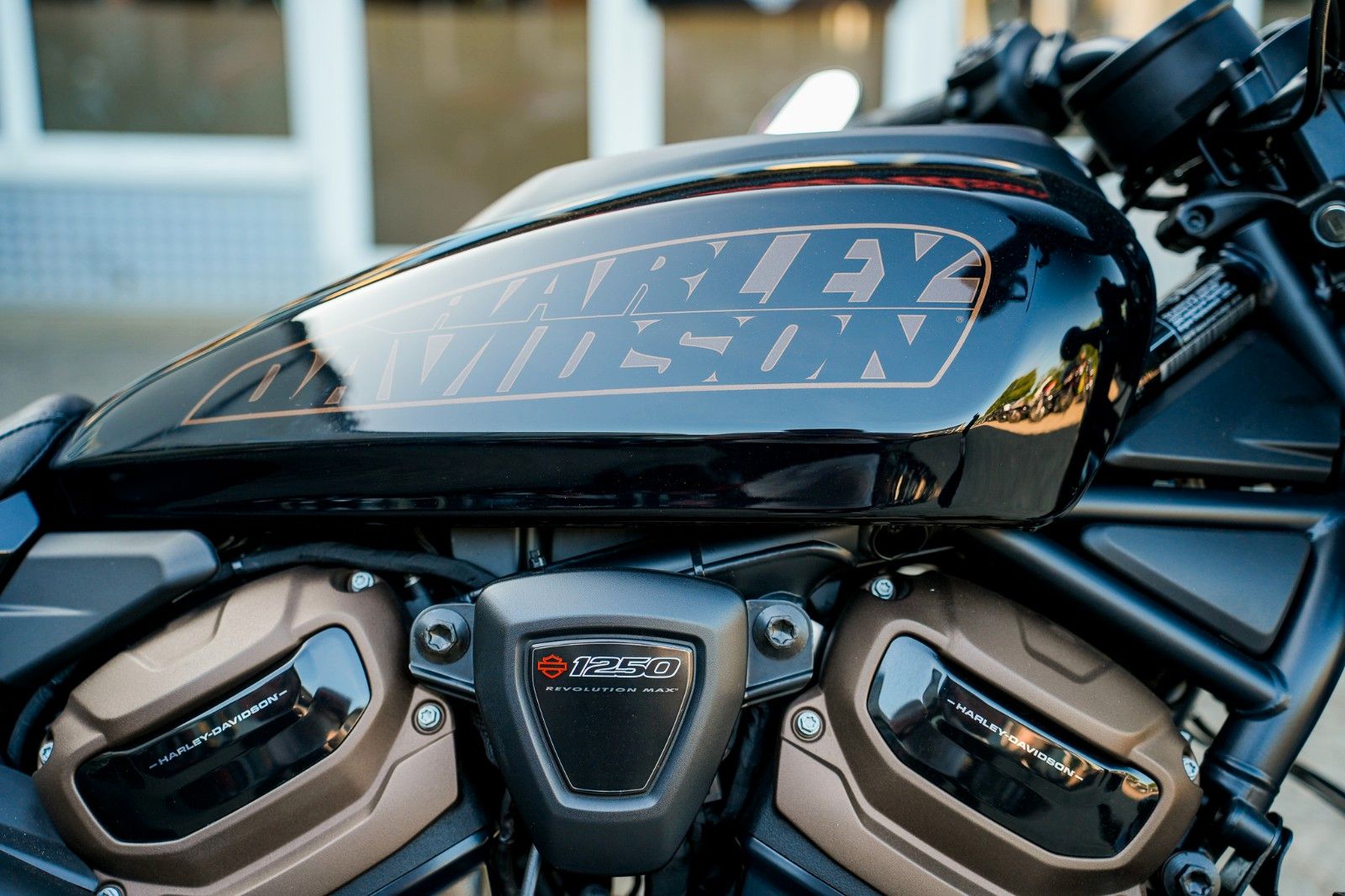 Fahrzeugabbildung Harley-Davidson SPORTSTER S RH1250S - SOZIUSKIT