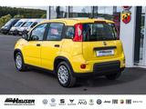Fiat Panda Hybrid 1.0 GSE NEUES MODELL 2024 CITY TEMP - Fiat Panda: Gelb