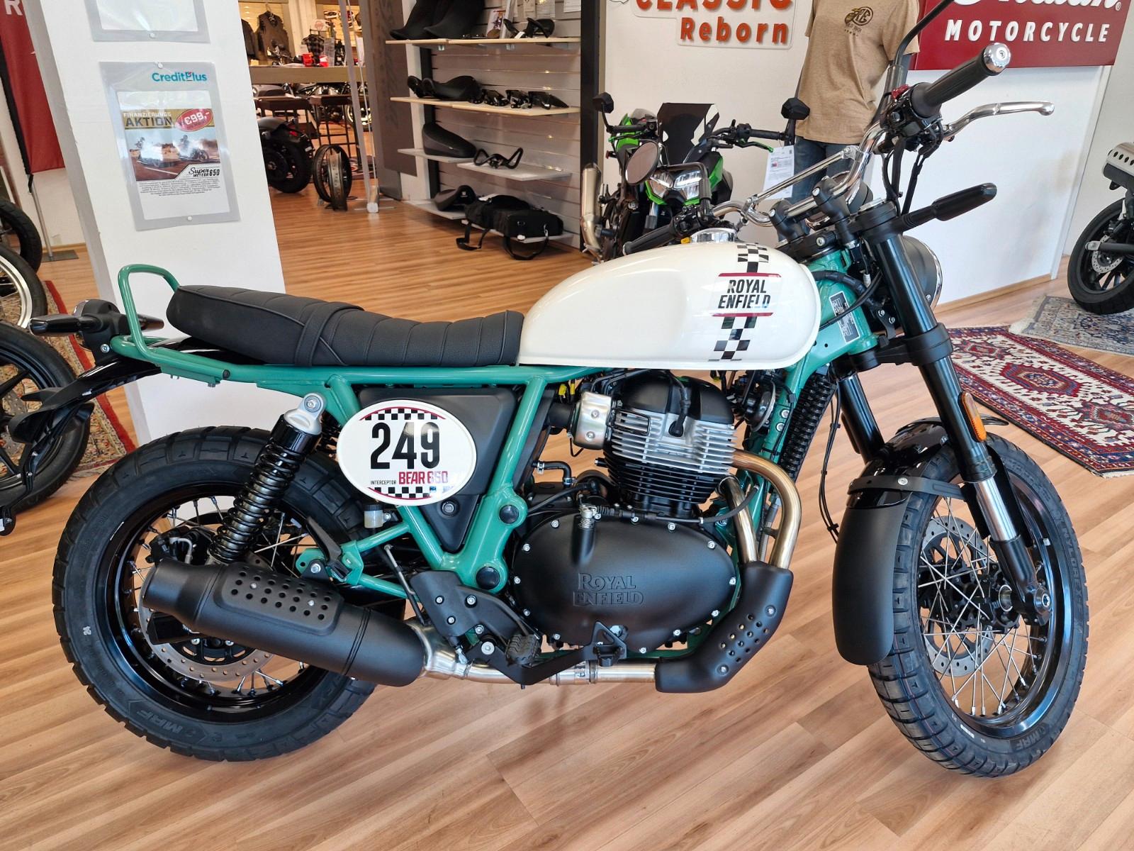Royal Enfield Bear 650 - 249