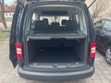 Volkswagen Caddy 1,2TSI 63kW Roncalli 5-Sitze Roncalli - Volkswagen Caddy mit Benzin-Antrieb: Kombi, 1.6