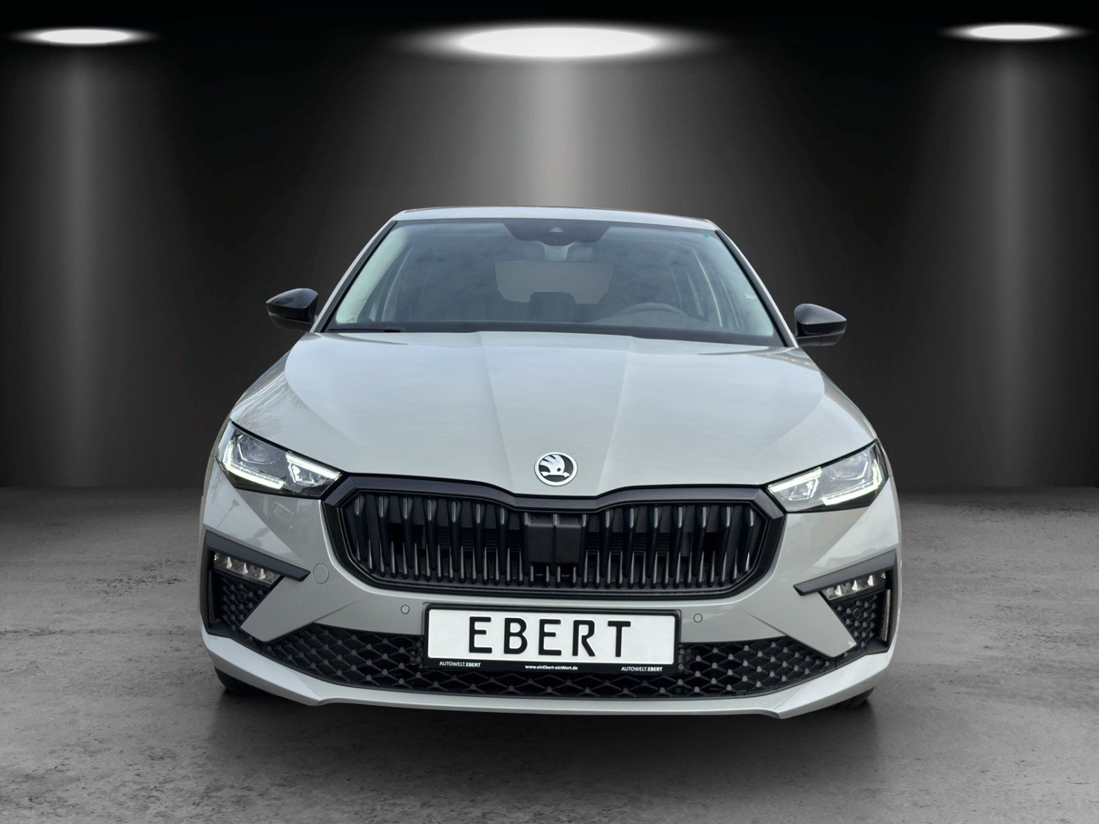 Fahrzeugabbildung SKODA Scala Balance 1,5 TSI 110 kW DSG