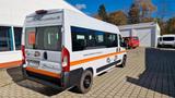 Opel Movano 9 Sitzer Fiat Ducato Lagerfahrzeug Stock - Opel Movano: Behindertengerecht