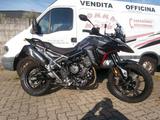 Triumph Tiger 900 GT Pro del 2024 compreso trapa - TRIUMPH TIGER 900 GT PRO