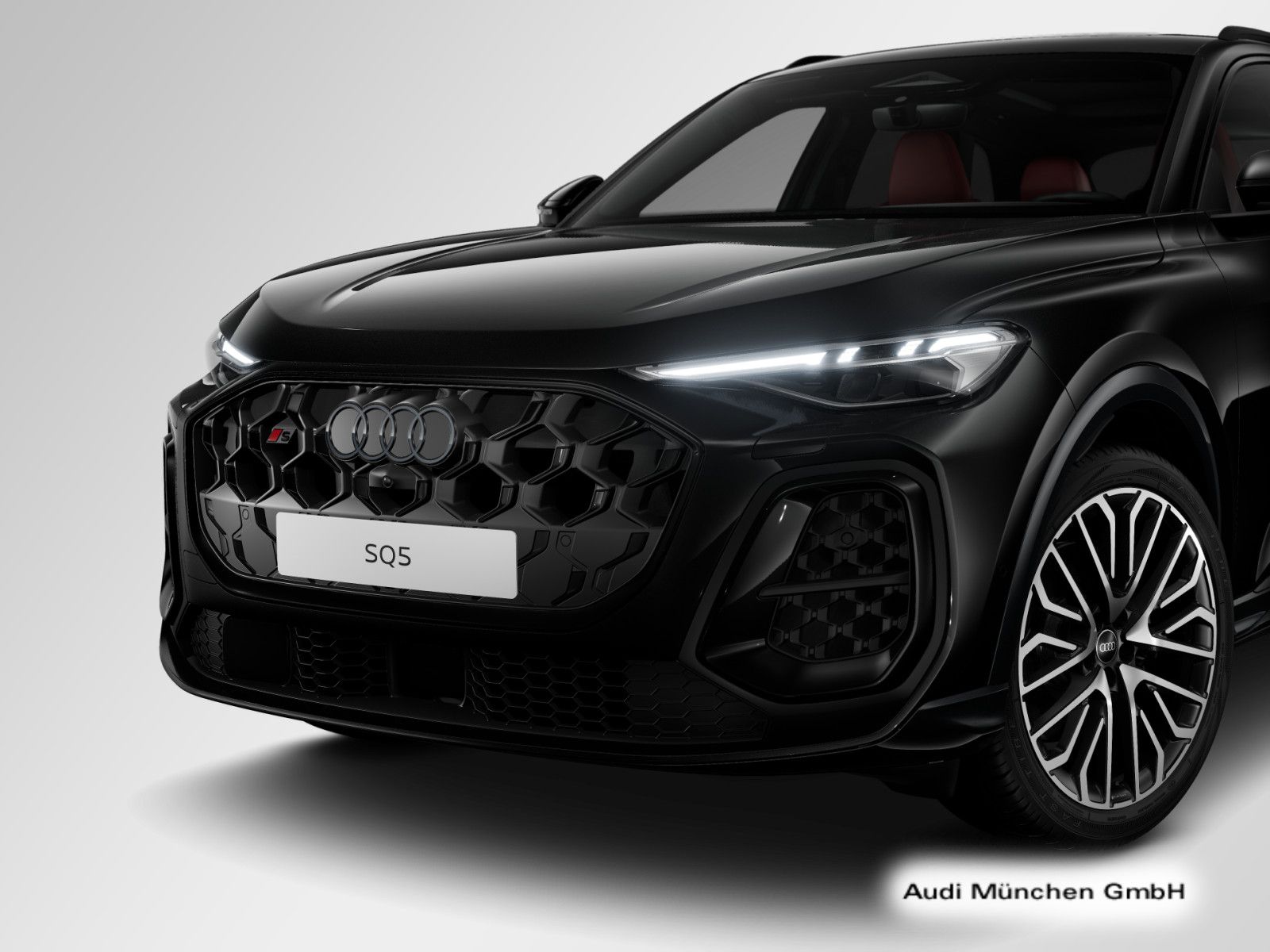 Audi SQ5 - Bild 10