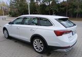 Skoda Octavia Combi Scout 4x4 - Skoda: Combi Scout