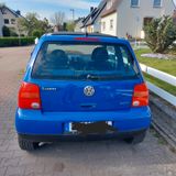Volkswagen Lupo/ Faltdach/Oxford 1.4 - Volkswagen Lupo: Oxford