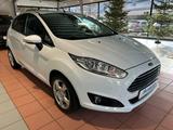 Ford Fiesta 1.0 EcoBoost Individual*NAVI*KEY-FREE`* - Ford Fiesta: Fr