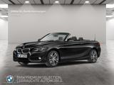 BMW 220i Cabrio Sport Line Navi Harman/K Kamera LED - BMW 220 in Hamburg
