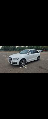 Audi SQ5 3.0 TDI tiptronic quattro - - gebrauchte Audi SQ5 aus dem Jahr 2014