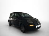 Fiat Panda Hybrid 1.0 GSE 51kw (70PS) - Fiat Panda Tageszulassungen