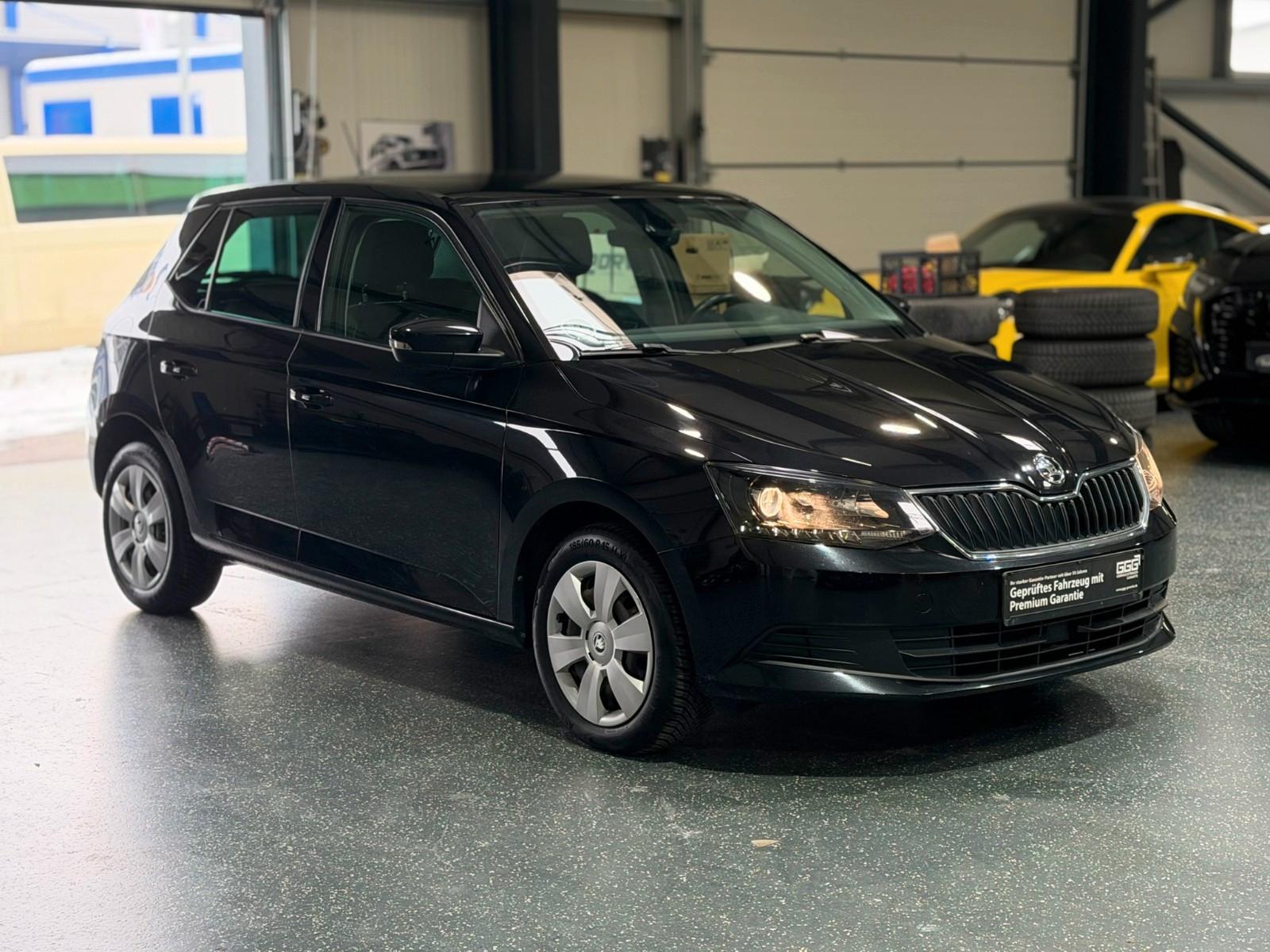 Skoda Fabia 1,2 TSi Ambition *KLIMA.AUTOM*TEMPOMAT*PDC