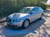 Audi A3 1,6 Benzin TÜV 03/2027 - Audi A3 aus 2003: 2.0