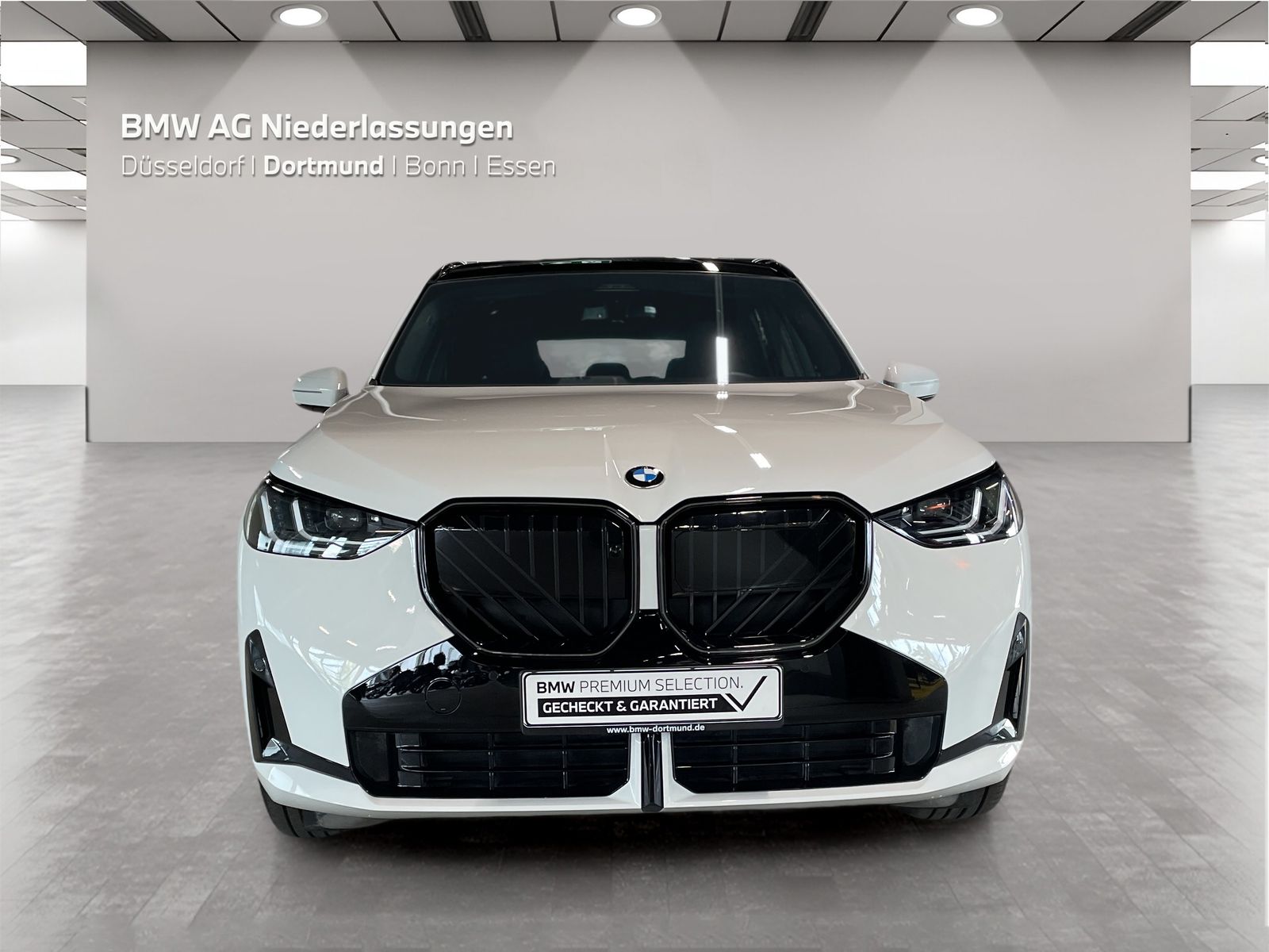 BMW X3 - Bild 8