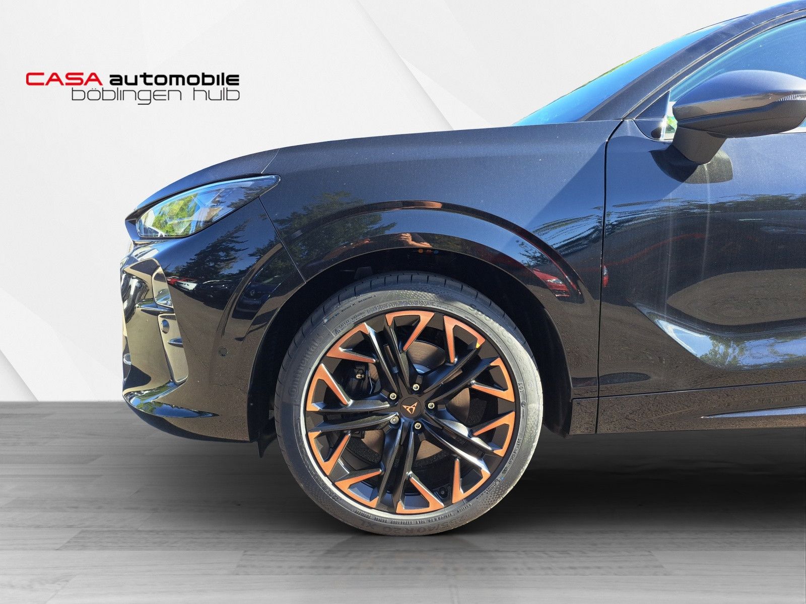 Terramar VZ 2.0 TSI 4Drive DSG HD-Matrix ACC DCC