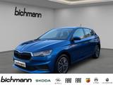 Skoda Fabia Tour Apps LED PDCvh Kli2 SHZ RFK LHZ - Skoda Fabia aus 2024