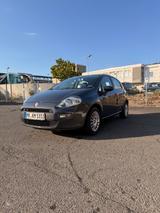 Fiat Punto 1.2 8V STREET STREET - Fiat Punto: 1.2