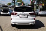 Ford Kuga 1.5 EB ST-Line Aut. LED Navi Kamera - Ford Kuga Jahreswagen