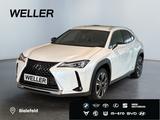 Lexus UX 250h Style Edition *Bi-LED*ACC*CAM*SHZ*CarPla - Lexus UX SUV