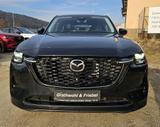 Mazda CX-60 e-SKYACTIV-D 200 HOMURA DA+Conv & Sound - Mazda CX-60 Tageszulassungen