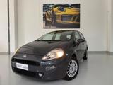Fiat Punto 1.2 8V 5 porte Street E6b - Fiat Punto: 1.6