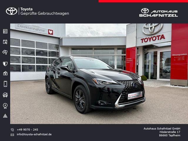 Lexus UX 250h Amazing Ed. 2,0l-Hybrid*LED*ACC*CarPlay*