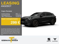 Cupra Terramar - Vorschau Bild 1