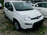 Fiat Panda MY24 - Fiat Panda Tageszulassungen mit Benzin-Antrieb: Limousine