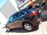Porsche Cayenne Diesel - Porsche Cayenne: Blau