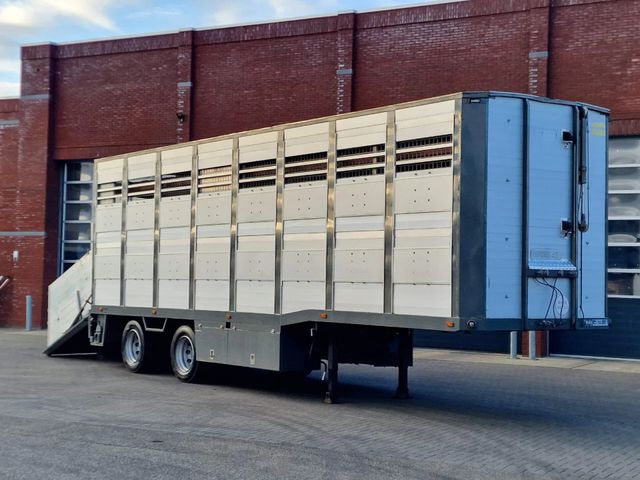 Jiný Other Jumbo  Livestock trailer - Loadramp - Stee