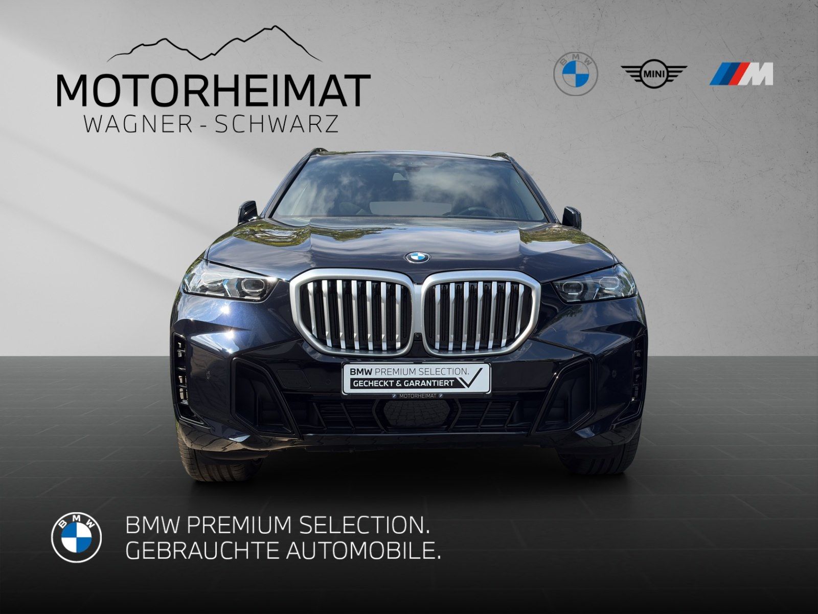 BMW X5 xDrive30d M Sport 21 Aktivlenk Pano ACC foto 3
