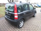Fiat Panda 1.1 8V Active,Klima,EFH. - Fiat Panda aus 2005