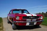 Ford Mustang BJ. 1966 H-Kennzeichen - Ford aus 1966