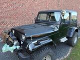 Jeep Wrangler 2.5 - - Jeep Gebrauchtwagen von 1994
