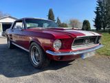 Ford Mustang V8 302 Cui H-Zulassung - Ford Mustang: 302