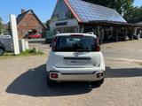 Fiat Panda 1.0 Mild Hybrid City Cross Plus - Fiat Panda Gebrauchtwagen in Hamburg