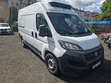 Fiat Ducato KÜHLFAHRZEUG - Fiat Ducato mit Benzin-Antrieb