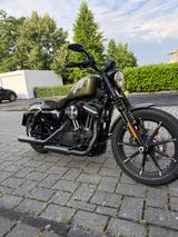 Harley-Davidson Sportster 883 Iron - Angebote