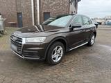 Audi Q5 2.0 quattro design - Audi Q5 design mit Benzin-Antrieb