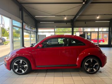 Volkswagen Beetle - 5