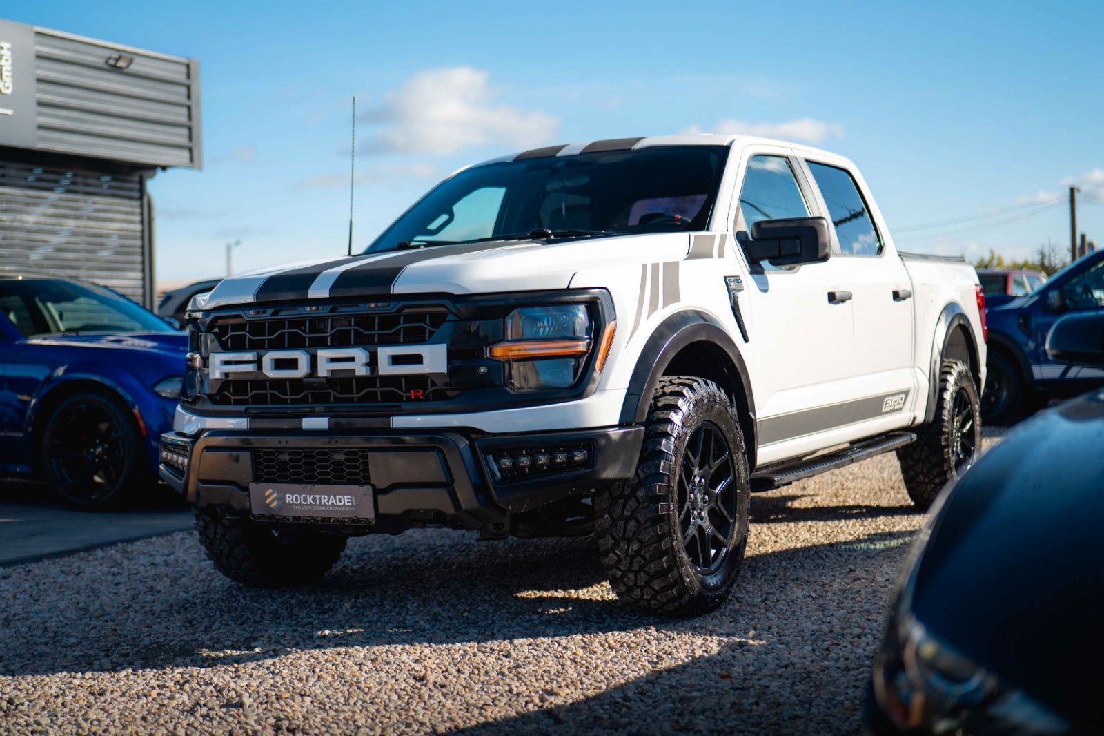 Fahrzeugabbildung Ford F150 5.0L V8 4x4 Offroad SuperCrew RAPTOR 19%